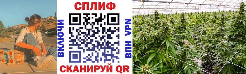 Где можно купить наркотики Бронницы Cocaine 