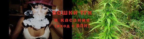 гидропоника Каменногорск