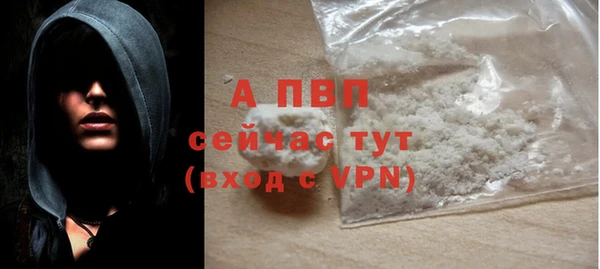 дмт Каменка