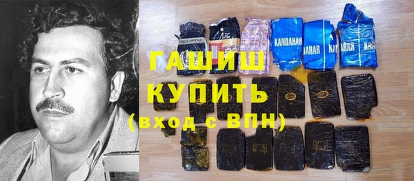шишки Сатка