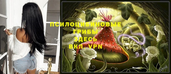 ешки Алексеевка